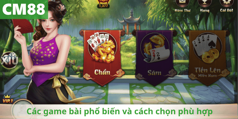 Các game bài phổ biến và cách chọn phù hợp