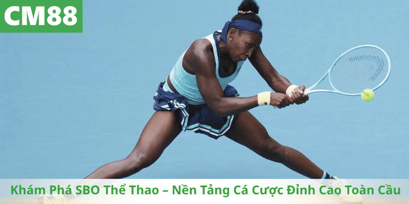 Khám Phá SBO Thể Thao – Nền Tảng Cá Cược Đỉnh Cao Toàn Cầu